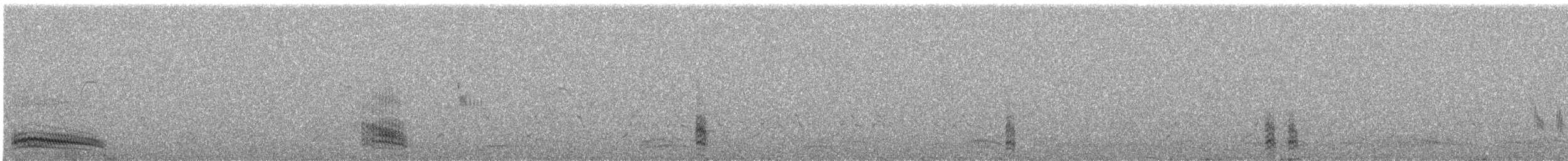 Braunkopfmöwe - ML221165731