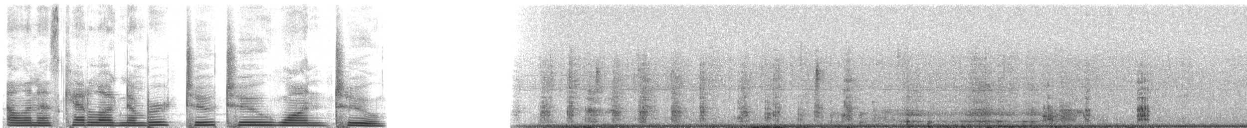 Большая белая цапля (egretta) - ML2212