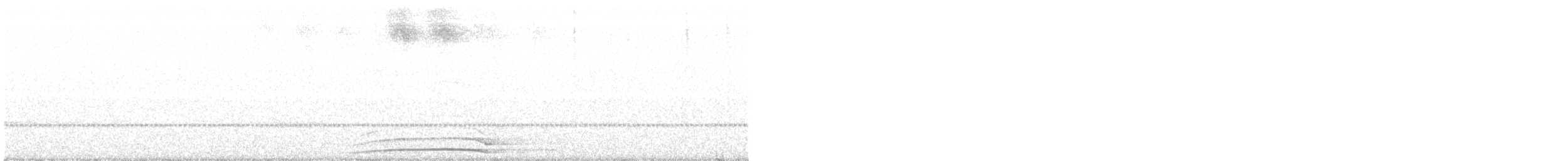 puštík černopásý [nepopsaná forma z mlžného lesa] - ML221214851