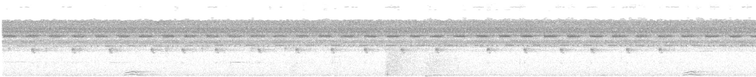 Сова-лісовик смугаста - ML221217301