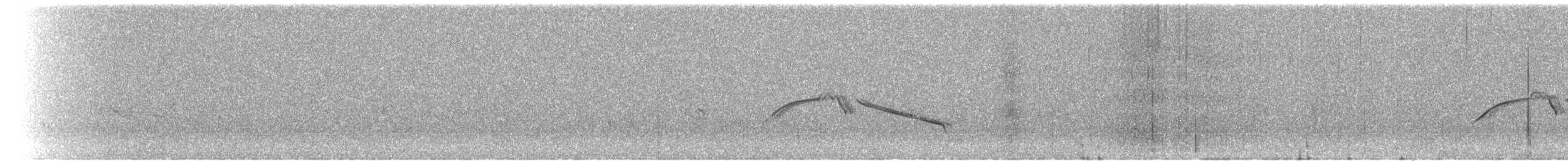 Жайворонок криводзьобий (підвид brevirostris) - ML221256