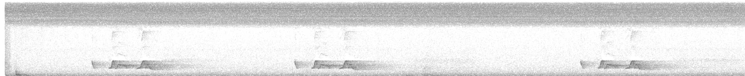 Chuck-will's-widow - ML221262251