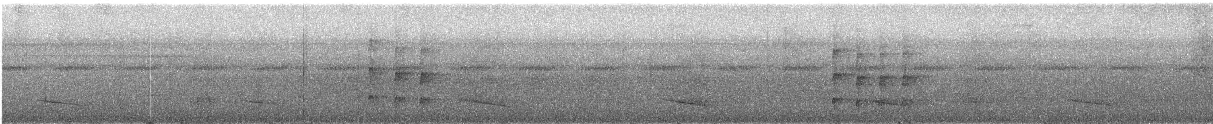 Длиннохохлая чубатка - ML221322