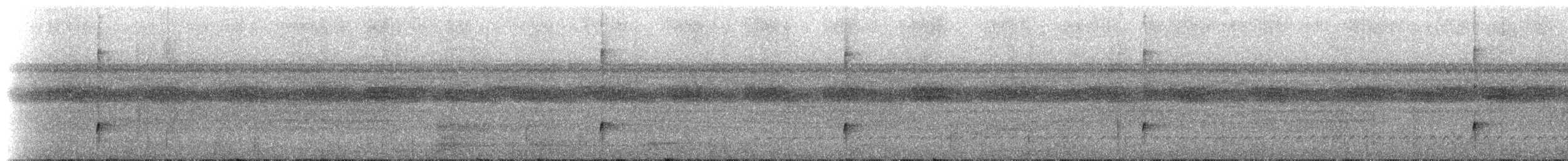 Длиннохохлая чубатка - ML221350
