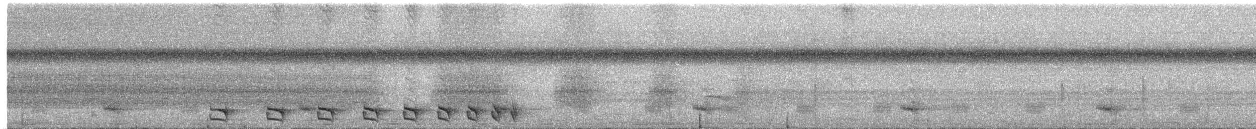Сорокуш плямистий (підвид punctatus/interpositus) - ML221351381
