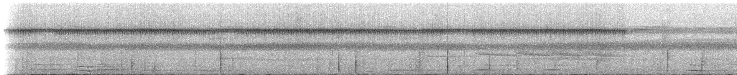 Tamatia brun - ML221388