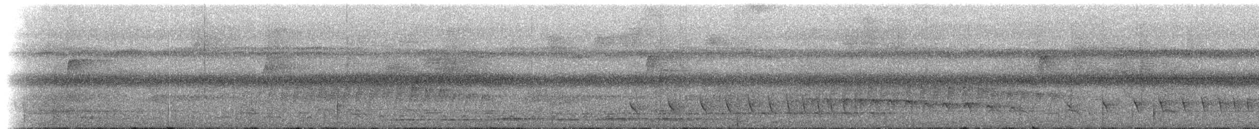 Spot-tailed Antwren - ML221394