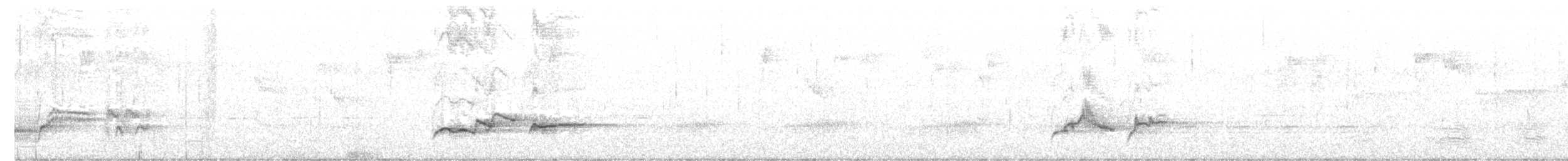 オーストラリアトラツグミ - ML221428121