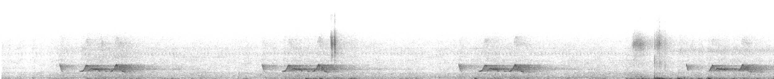 Carolinanachtschwalbe - ML221481761