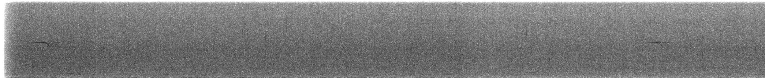 Buztanikara argia - ML221504