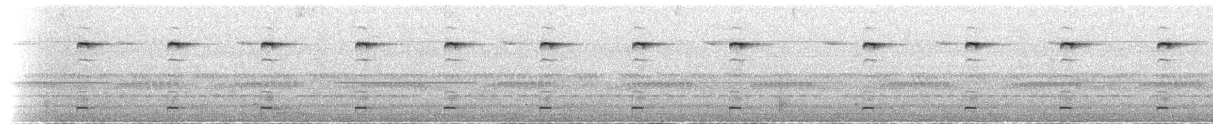 Epauletted Fruit Bats - ML221546