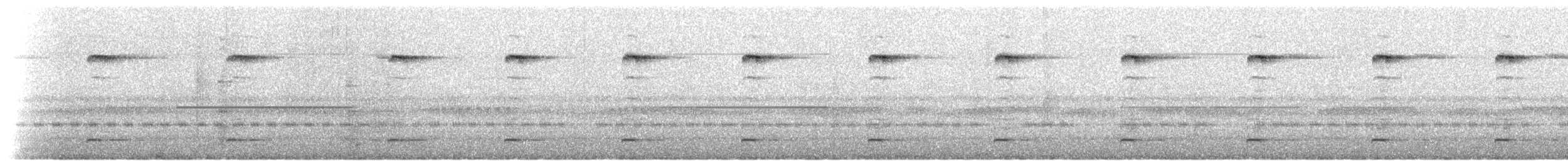 Epauletted Fruit Bats - ML221547