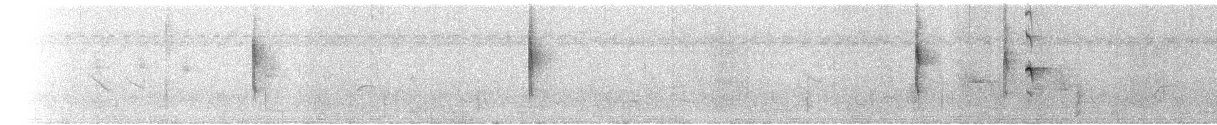 svartbeinfrankolin - ML221552