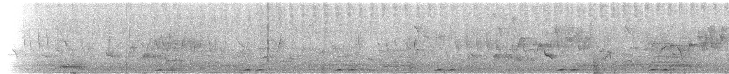 Common Hoopoe (African) - ML221555