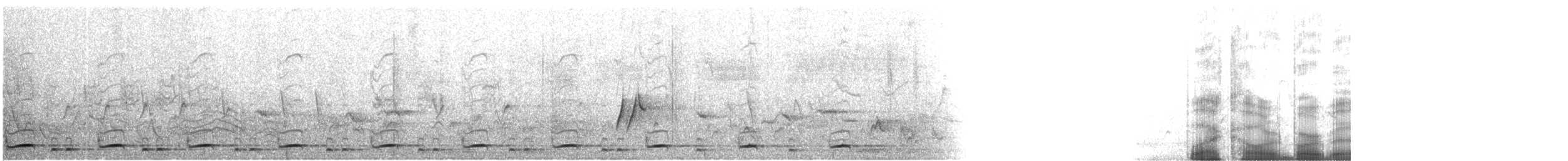 Black-collared Barbet - ML221557