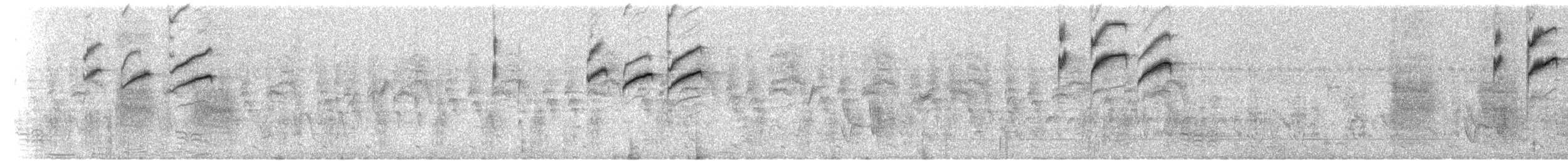 Southern Cordonbleu - ML221558