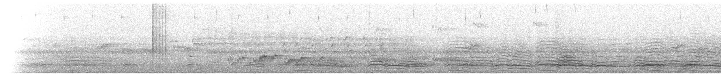 Hadada Ibis - ML221563