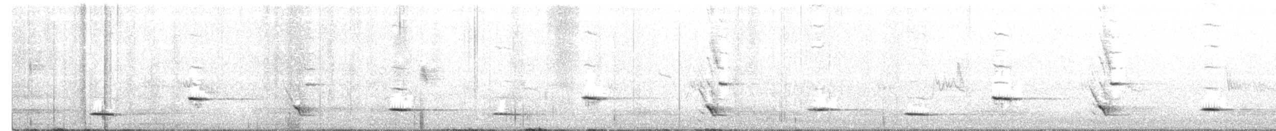 New Zealand Bellbird - ML221563481