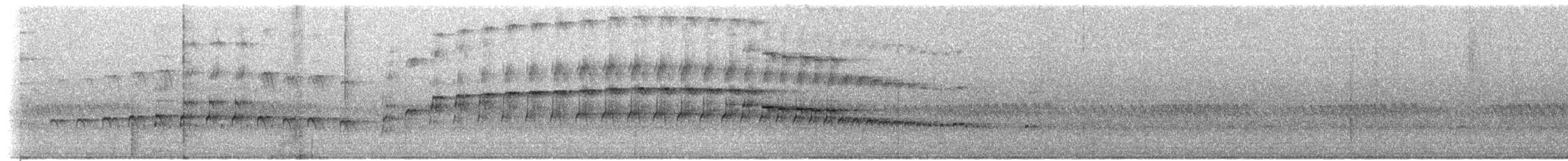 dytík vodní - ML221569