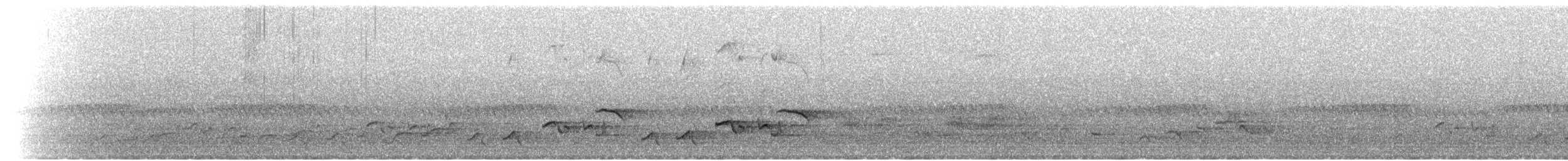 White-browed Robin-Chat - ML221570