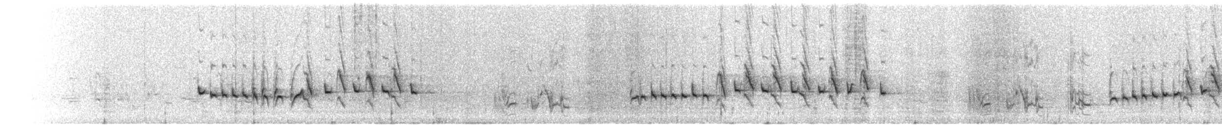 White-browed Scrub-Robin - ML221571