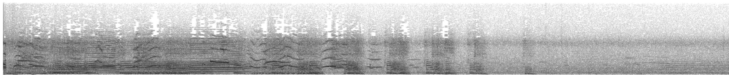 African Penguin - ML221572