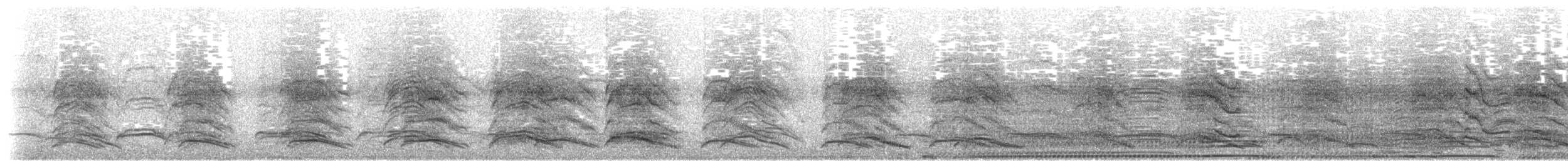 African Penguin - ML221573