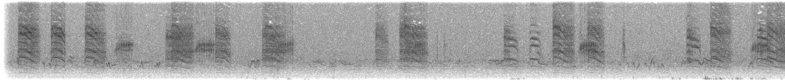 Gray-backed Cisticola - ML221574