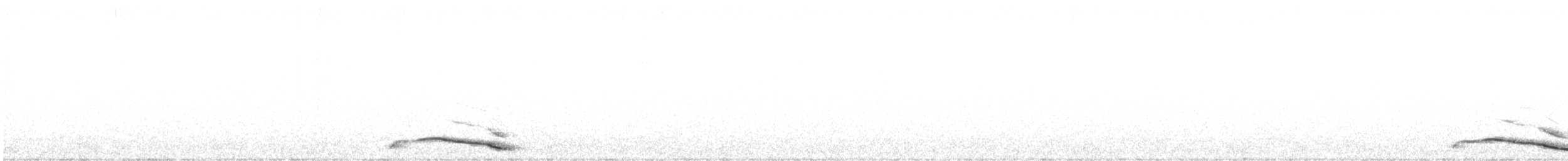 Whiskered Screech-Owl - ML221584751