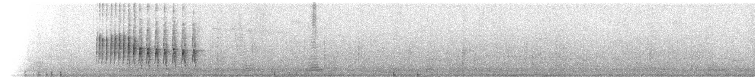 Тиранчик-довгохвіст білогорлий - ML221615
