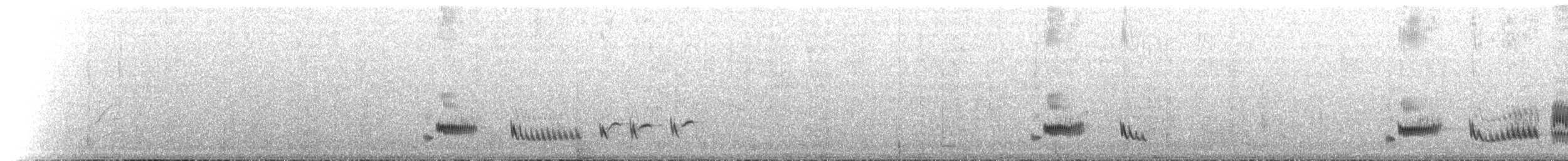 Пересмішник сивий [група gilvus] - ML221633