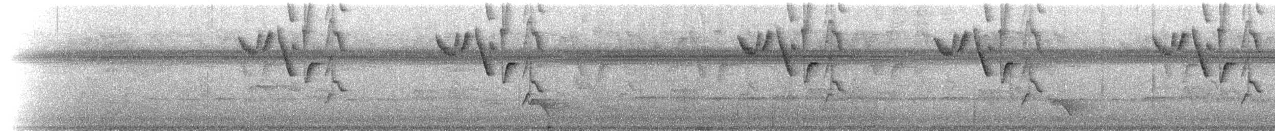 Малый колибри-отшельник - ML221645