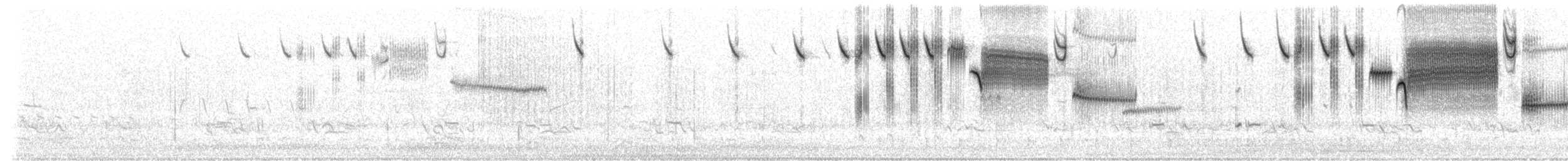 Savannah Serçesi [sandwichensis grubu] - ML221647661