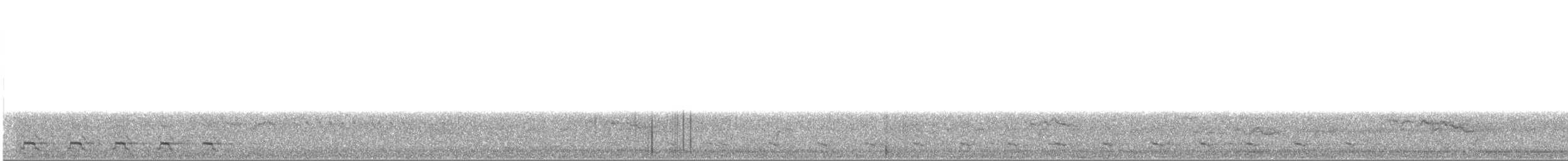 Trogon à queue blanche - ML221680511