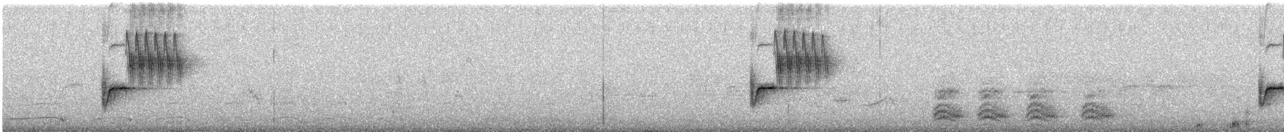 Тауї плямистий - ML221684761