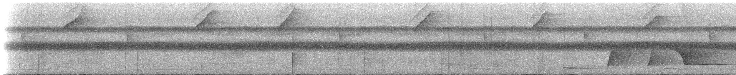 Drosseltangare - ML221703