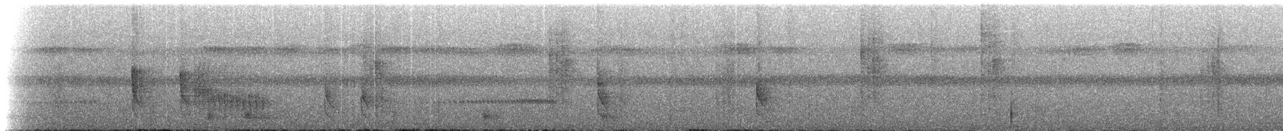 Band-tailed Antshrike - ML221705