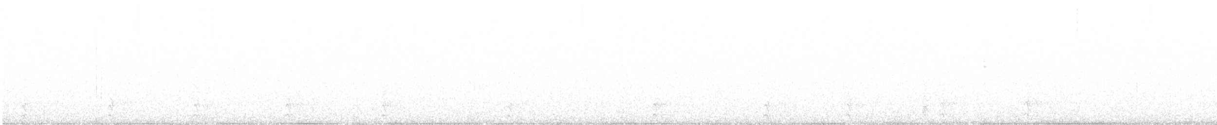 kvesal chocholatý (ssp. mocinno) - ML221716781