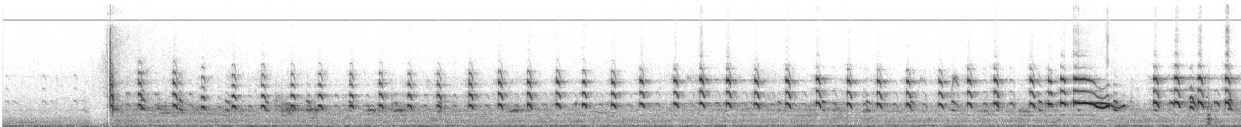 קיווית אדומת-משקפיים - ML221718861