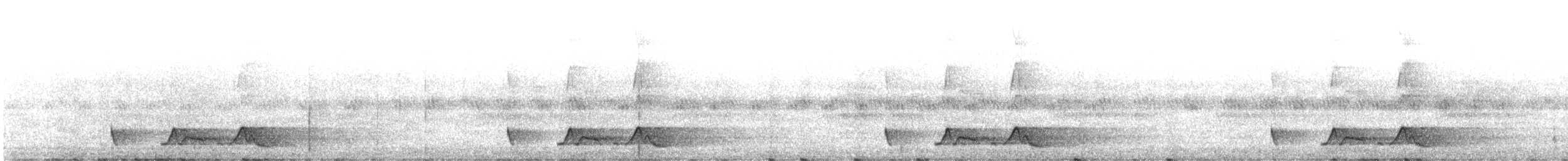 Carolinanachtschwalbe - ML221720121