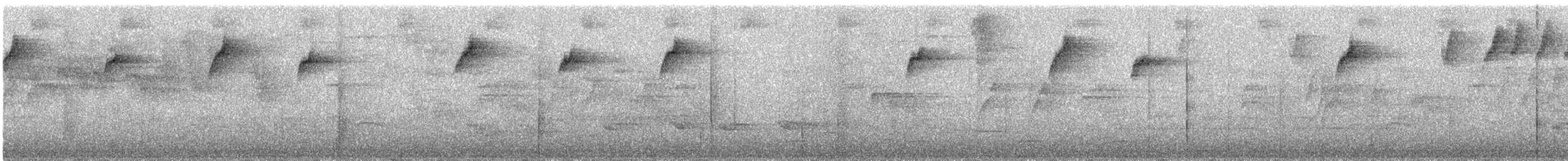 ノドジロキリハシハチドリ - ML221801601