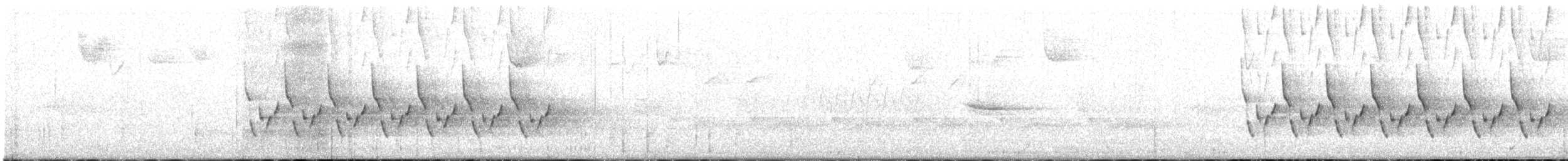 Каролинский крапивник - ML221821631