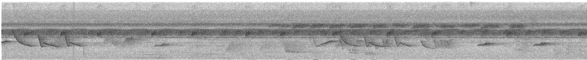 Белокрылая сорокопутовая танагра - ML221839121