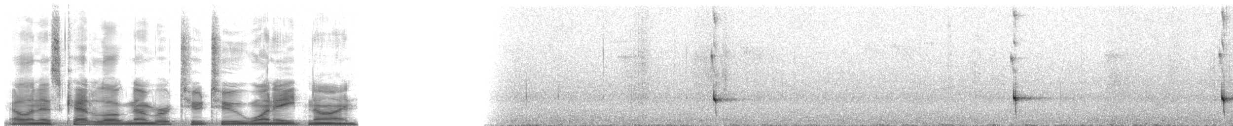 Slaty Bristlefront - ML22189