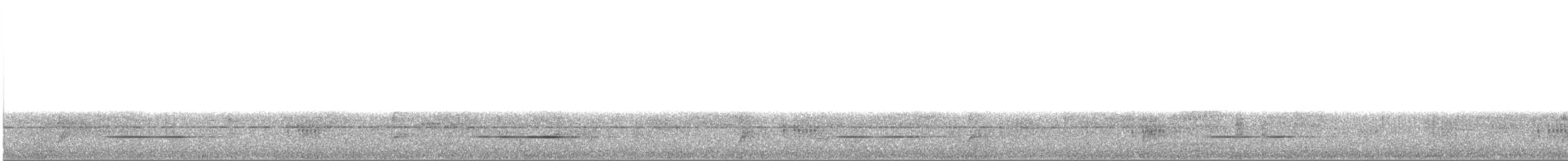 Серый скрытохвост - ML221920941