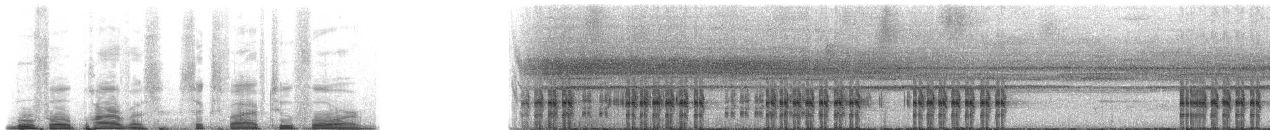 Lesser Toad - ML221943