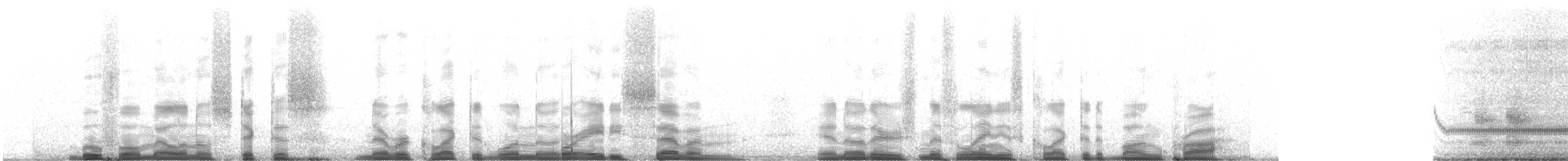 Asian Common Toad - ML221944