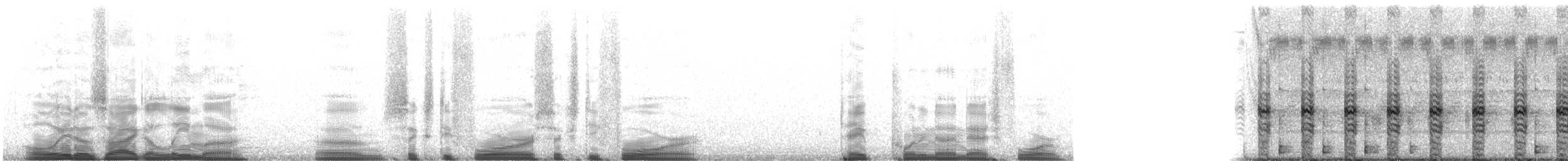 Green Puddle Frog - ML221946