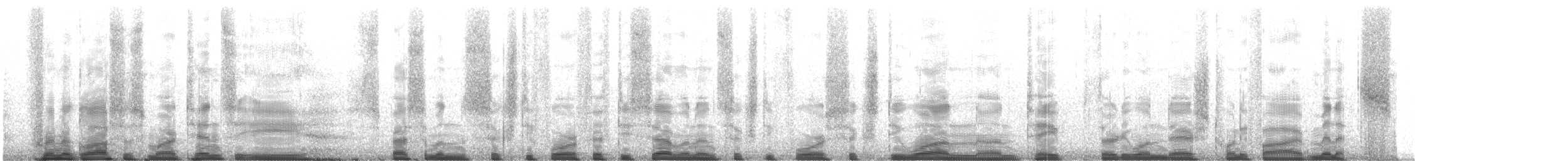 Round-tongued Floating Frog - ML221948