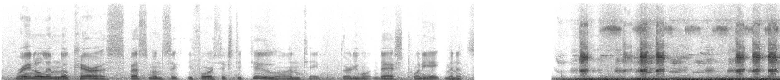 Paddy Field Frog - ML221949